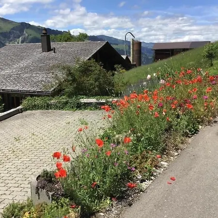 Datscha * Lenk